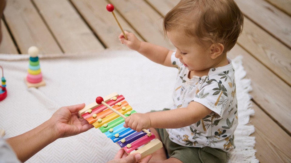 Lenkje til artikkel: Babysong