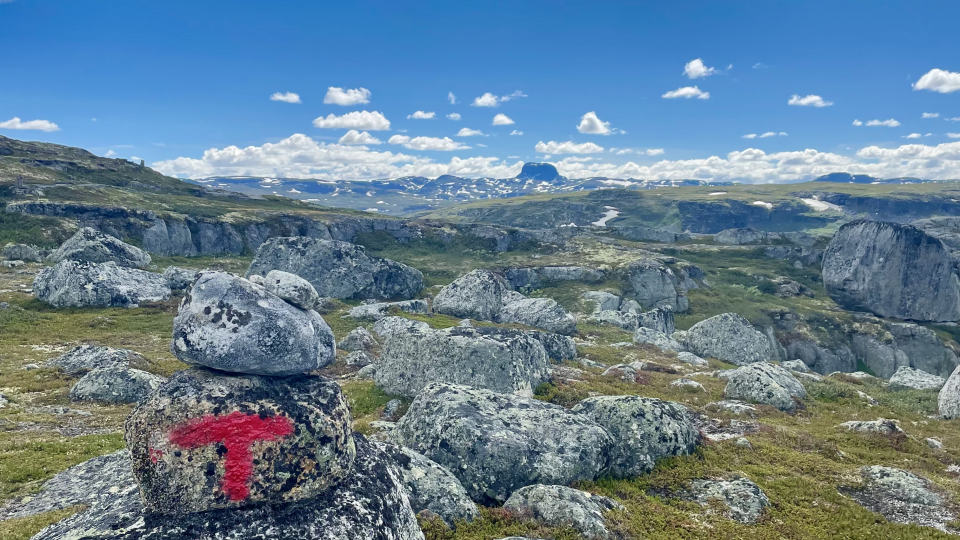 Lenkje til artikkel: Informasjon om framlegg til forskrift på viltområdet