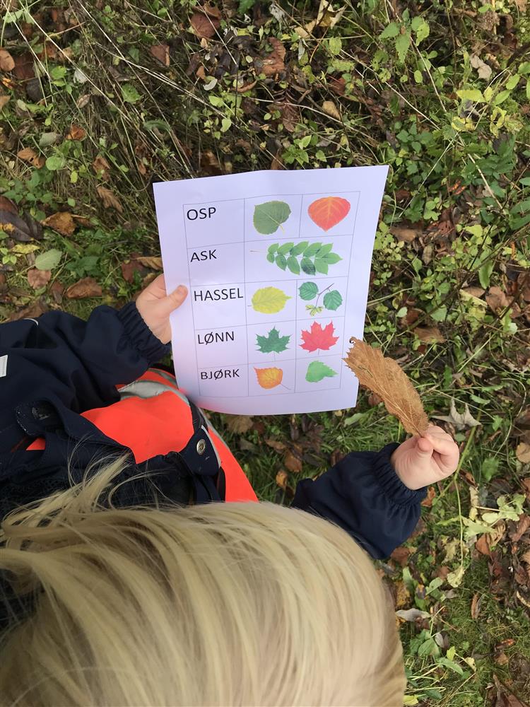 Klikk for stort bilete