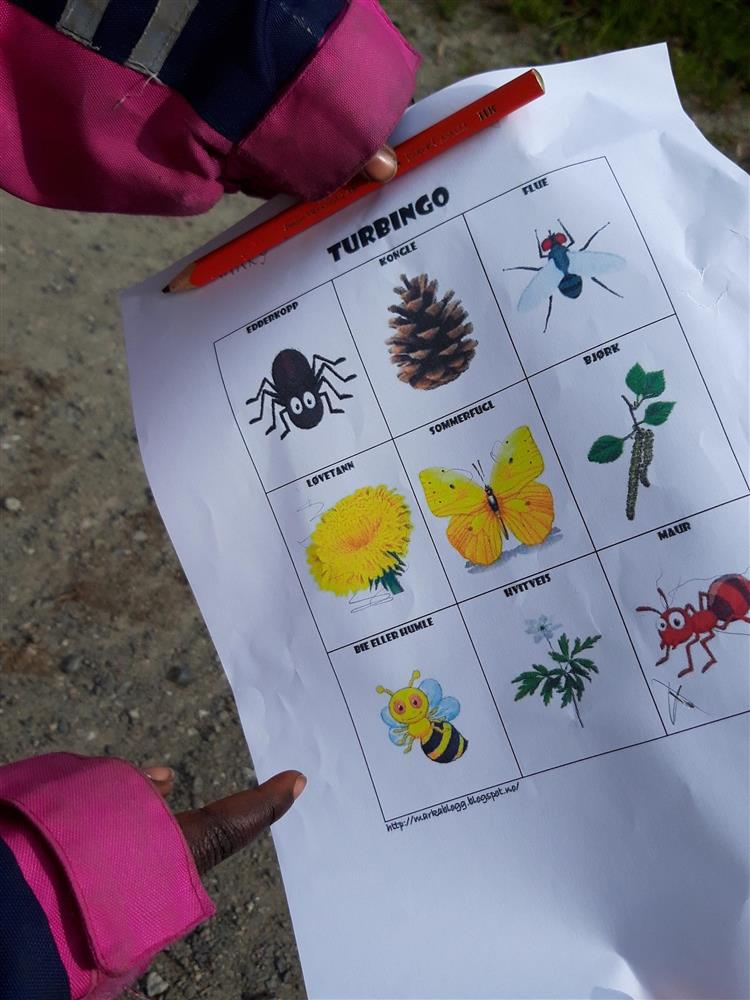 Klikk for stort bilete