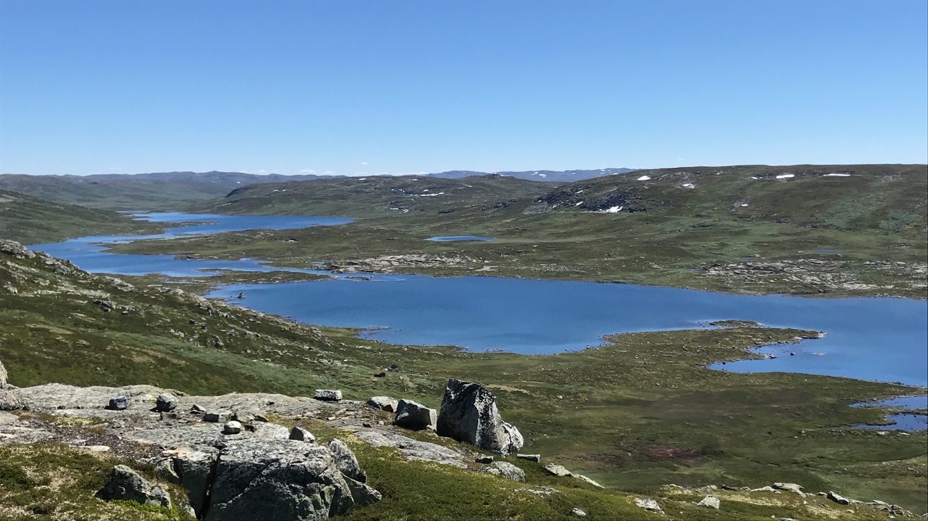 Utsyn over Hardangervidda nasjonalpark med vatn og fjell. Foto.