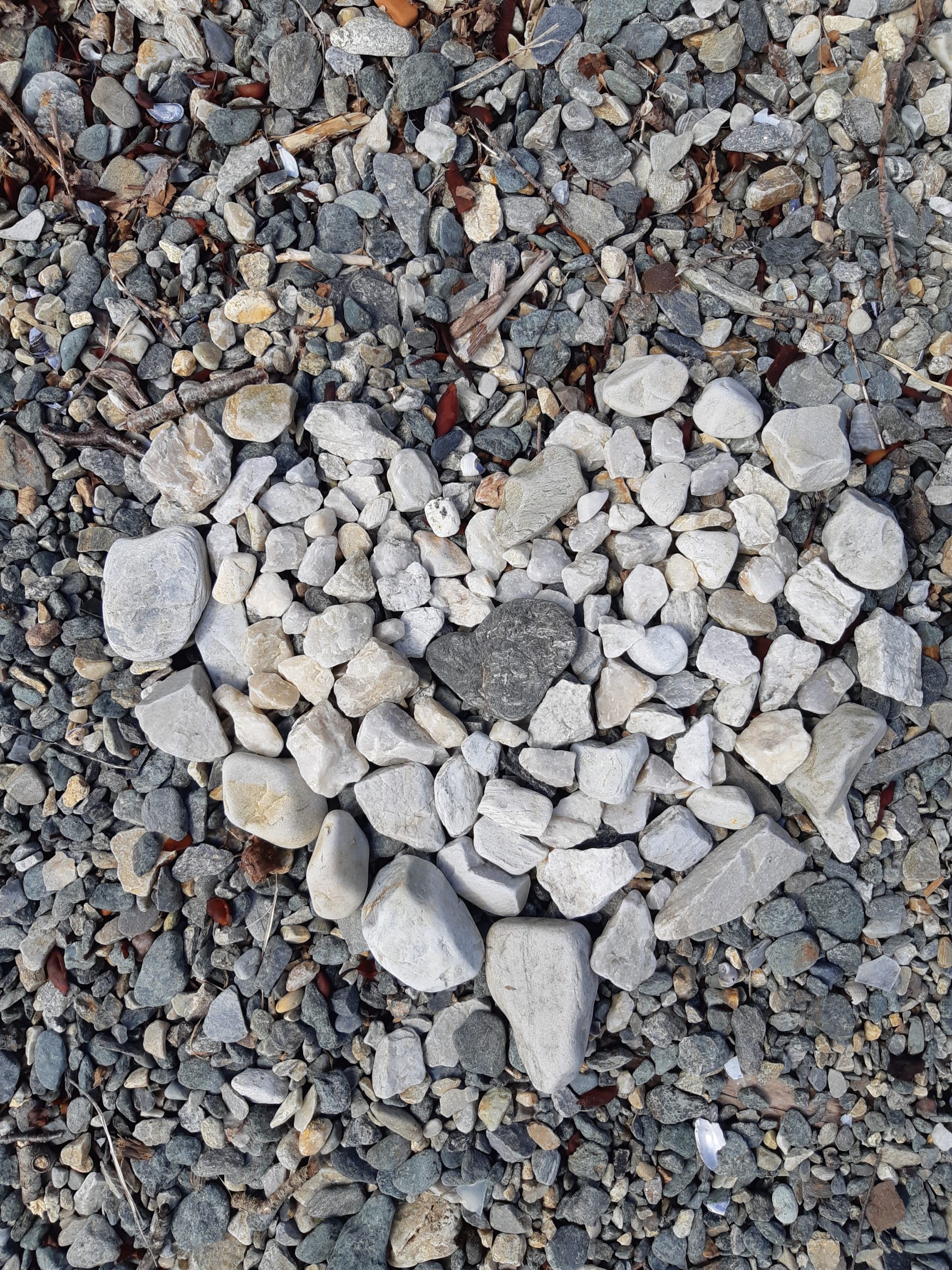 Steinar lagt i hjerteformasjon på strand. Bilete.