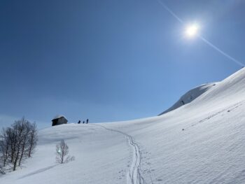 Skispor i snøen med personer på ski sett i horisonten ein flott vinterdag. Bilete.