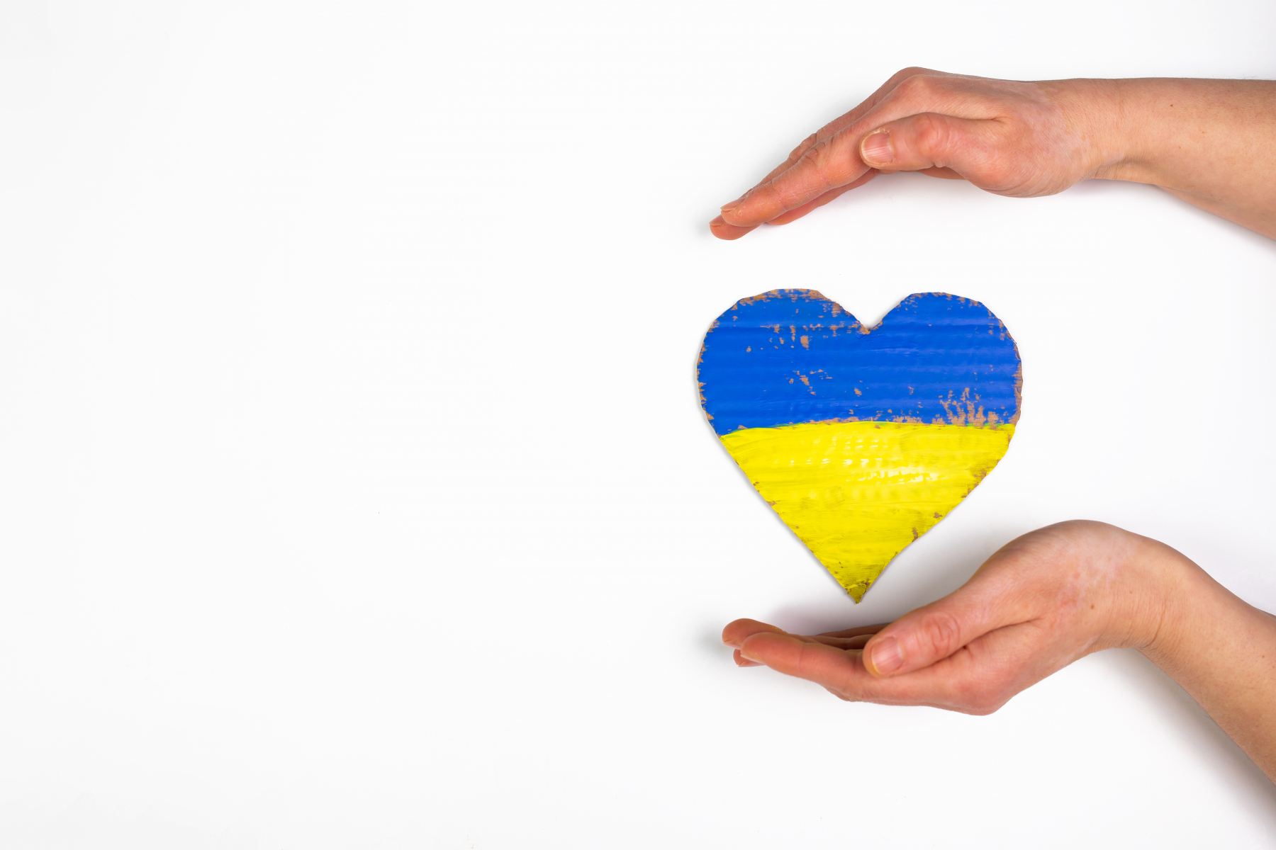 54597935-heart-flag-of-ukraine-in-human-hands-no-war-peace-for (1)